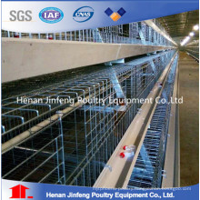 New Design a Frame Pullet Chicken Cage